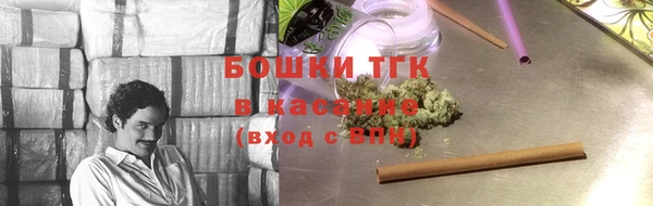 индика Богородск