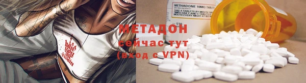 индика Богородск
