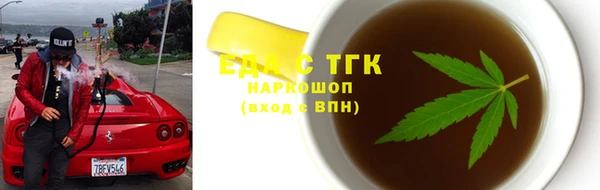 индика Богородск