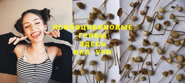 дживик Болотное