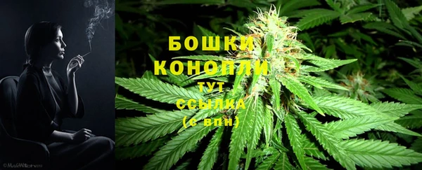 индика Богородск