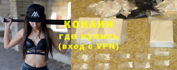 индика Богородск