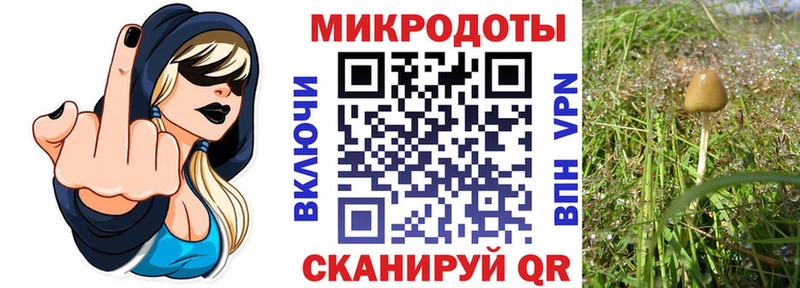 цена   Кондрово  Галлюциногенные грибы прущие грибы 